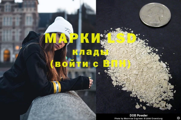 ПСИЛОЦИБИНОВЫЕ ГРИБЫ Калининец
