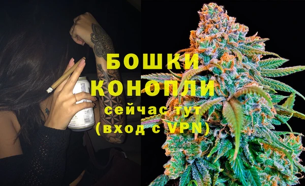 Альфа ПВП Краснослободск