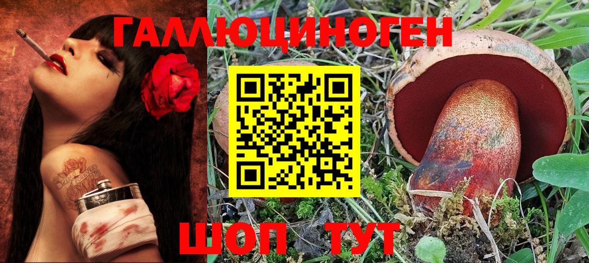 Псилоцибиновые грибы Psilocybine cubensis  Бердск 